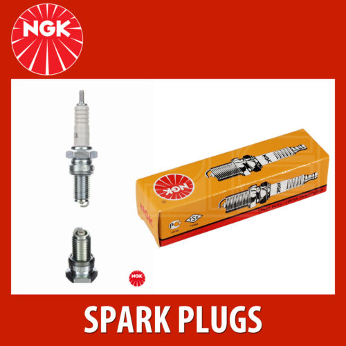 Sparkplug 4 Pack NGK Spark Plug D9EA NGK 2420