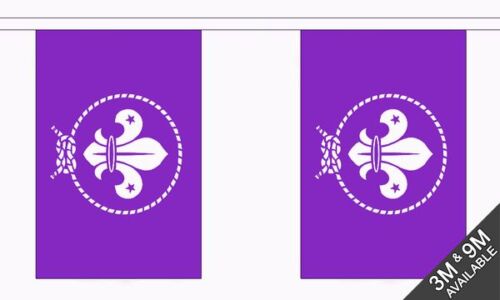 10 flags Scouts Purple Organisation Bunting 3 metres long 