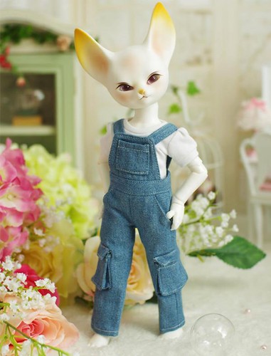 1//6 BJD Doll SD FOX free eyes with face make up White Resin New