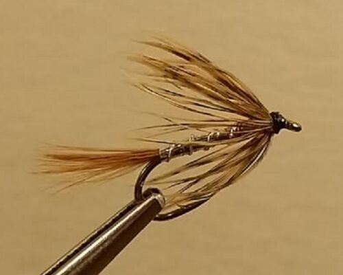 12 Lightning Bug  Nymph Wet Fly Trout 