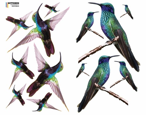 Aufkleber Sticker Wandaufkleber Wandsticker Vogel Vogel Kolibri Colibri Fenster Decor Decals Stickers Vinyl Art Home Decor