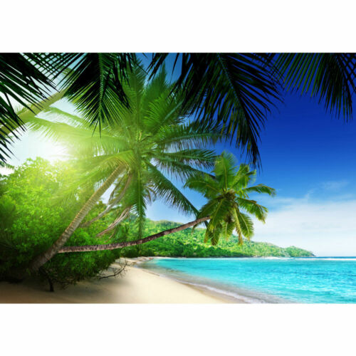 Fototapete Strand Meer Palmen Beach 3D Ozean Palme liwwing no 5