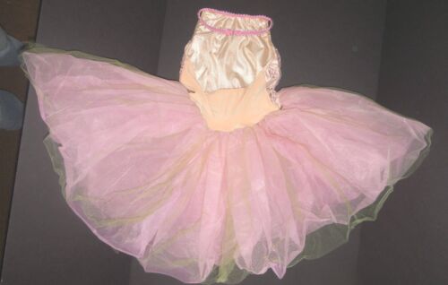 NEW BALLET COSTUME Rose Embroidered bodice Tulle skirting Girls szs w//hdpc sash