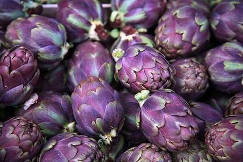 100 Graines non traitées d/' ARTICHAUT Violet de Provence barigoule farigoule