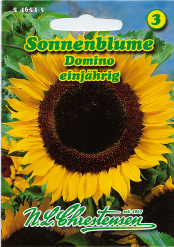 546535 heliantos Annuus EINJÄHRIG Sunflowers Domino Flower seeds 3 nlc