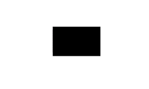 Solid Black Replacement Flag NEW 2 pk