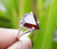 Details about / Natural Hessonite Garnet Silver Ring 925 Sterling Silver Ring For Christmas Sale