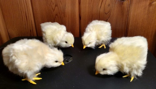 4 Realistic Easter BABY CHICKS PHOTO PROP Fake Fur REPLICAS Toy FREE SHIPPING US