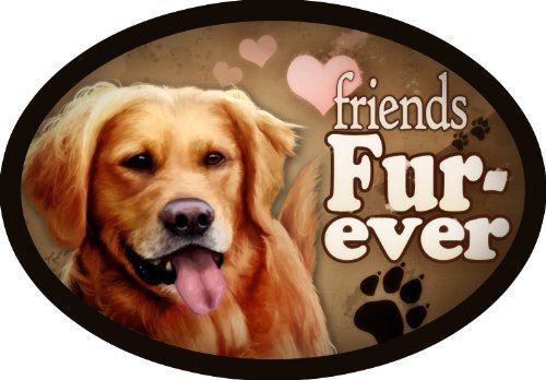 /"Friends Fur-ever/" Oval Dog Magnet for Cars and Fridges Golden Retriever