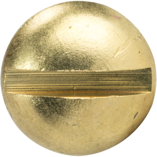 #10 x 5//8/" Brass Round Head Wood Screws Slotted Drive 100