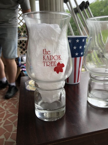 Florida Hurricane Glass Kapok Tree Inn Legendary Gardens Vintage Rare Red Color
