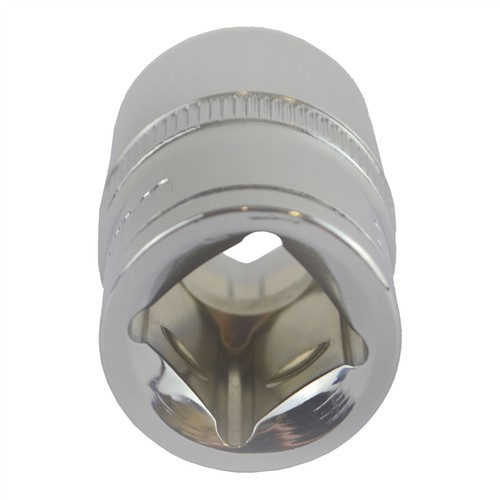 Atelier Lime DIN 7261 L .250 mm q.25x6mm coup de fouet 2 plat tronc Cheval