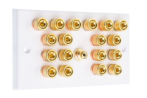 9.1 Surround Sound Speaker Wall Plate with Gold Binding Posts 1 RCA White
