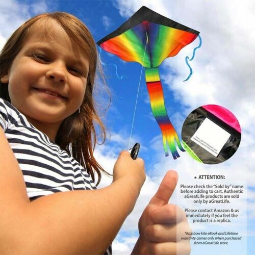 Einleiner Flugdrachen SUPER-DRACHEN Rainbow Flyer XL Großer Kinder-Drachen 