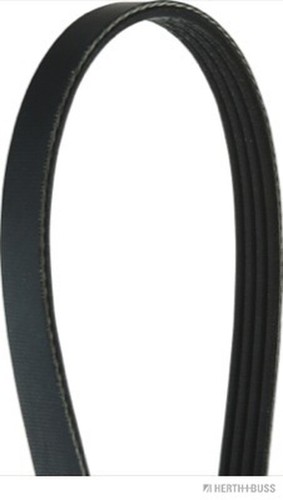 Crantées Nipparts j1040820