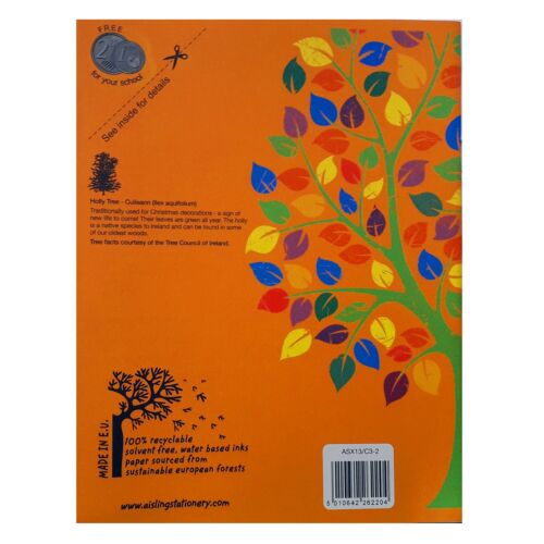 Orange Aisling 88 Page Printed Cover Sum Copy Book 