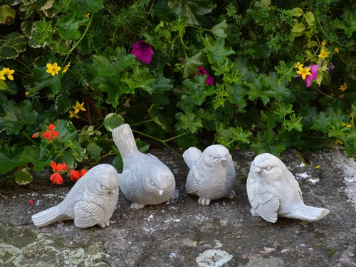 massif sculpture en pierre pierre oiseau mésange bleue motif II de IV ciment