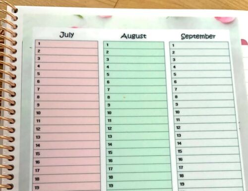 Month at a Glance Dashboard Insert 4 use w Erin Condren Planner Two Set of 2