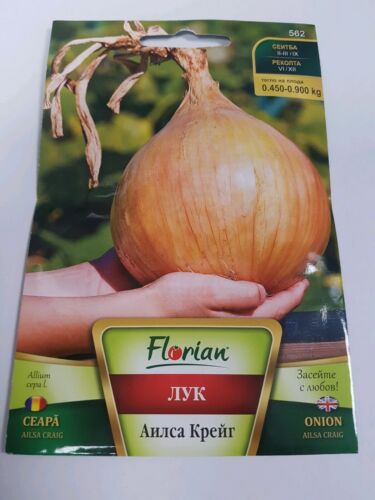 1 kg Ailsa craig Onion Spanish variety 450 SEEDS big huge giant enormous 20cm
