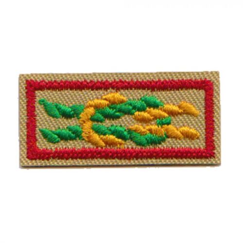 Boy Scout James E West Fellowship Award Square Knot Patch Emblem $1000 Donation 