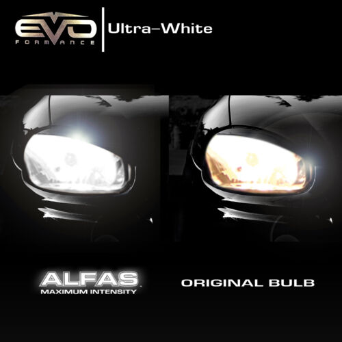 EVO Formance Alfas H11 Halogen Headlight Bulbs Xenon HID Max Intense White 4300k 