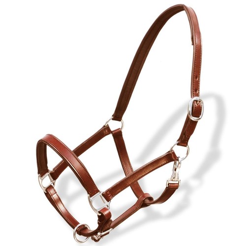 Licol Licou en cuir réglable pour cheval Licol pour écurie Marron Noir
