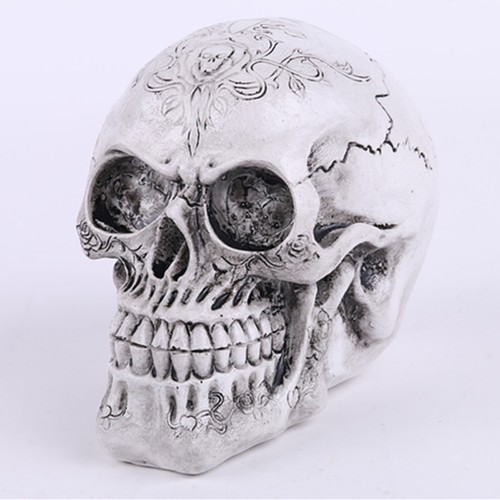 Homosapiens Skull Statue Figurine Human Skeleton Head Medical Skeleton 3 Fantasy Myth Magic Collectables