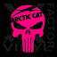 Arctic Cat Punisher Skull Dicut Vinyl Decal 3SIZE14COLOR wildcat snowmobile ZR
