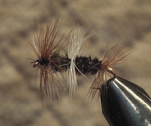 12 Dry Flies F724 Double Renegade Trout Fly Size 14-1 Dozen