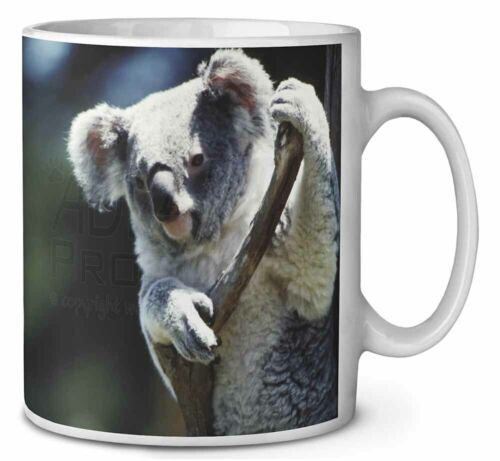 AKB-1MG Cute Koala Bear Coffee/Tea Mug Gift Idea 