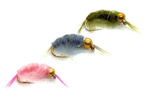 Goldhead SHRIMP Trout Flies 3 Pack SCUD Fly 3 Colours Fly Fishing Size 10,12,14