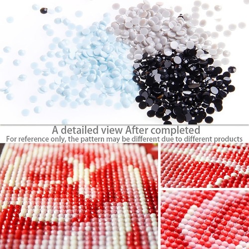 DIY 5D Diamond Painting Embroidery Cross Craft Stitch Art Kit Home Decor Surpri