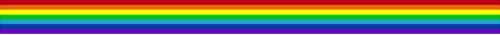 Reflective Vinyl Sticker Decal Rainbow Decal Strip Gay Pride Pride Rainbow