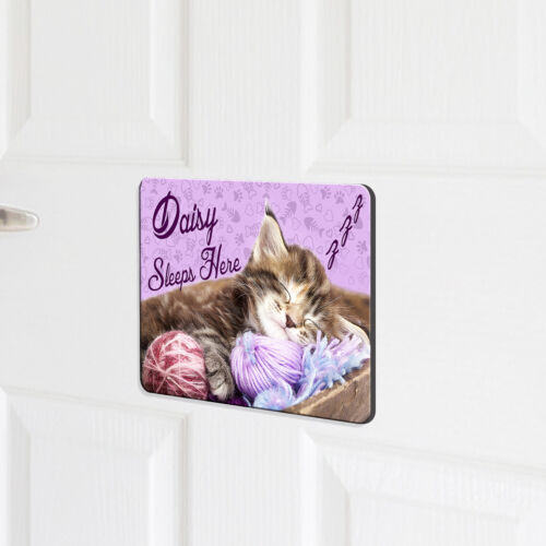 Kitten Door Sign Bedroom Name Plaque Personalised Girls Room Childrens Cat KD22