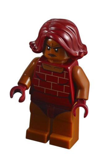 LEGO ® 10761 Minifigs-Déluge-INCR 009-Brick