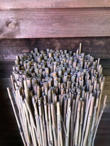 BAMBOO CANES NEW GARDEN PLANT SUPPORT STICKS 2FT 3FT 4FT 5FT 4-10mm