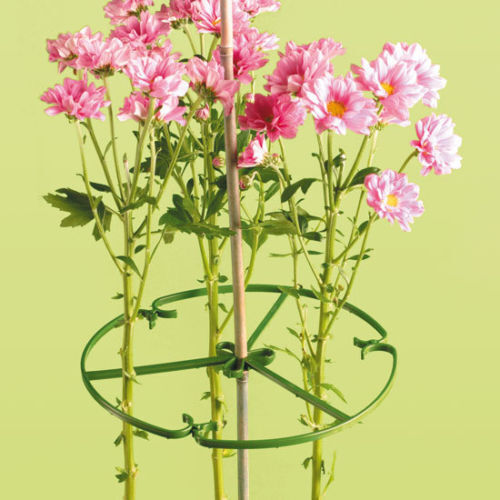 100 x 10 in 25 cm environ 25.40 cm Plante/Fleur Anneau Support Pour Bambou Canes 