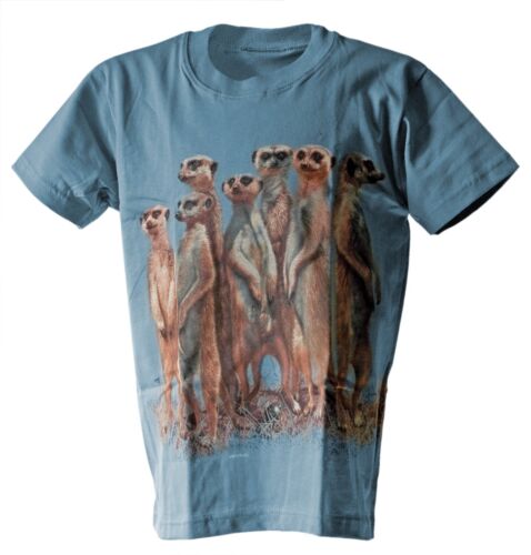ctfk 864 recto verso Bushfire Enfants T-shirt des suricates bleu clair