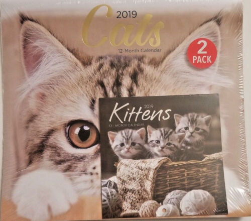 2 pack Of 12 Month 2019 Wall Calendars Cats Kittens New Sealed w 