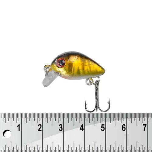 Details about  / USA Lots Of 10 Fishing Lures Mini Minnow Fish Bass Tackle Hooks Baits Crankbait