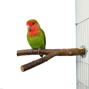 Pet Loro Horquilla Soporte Estante de Juguete de Madera en Bruto rama Perchas Para Jaula De Pájaro 1Pcs 