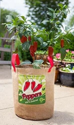 Panacea Vintage Styled 10 Gallon Burlap Reusable Peppers Grow Bag Pot w//Handles