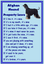 Afghan New Free UK p//p Dog fridge magnets New Gift