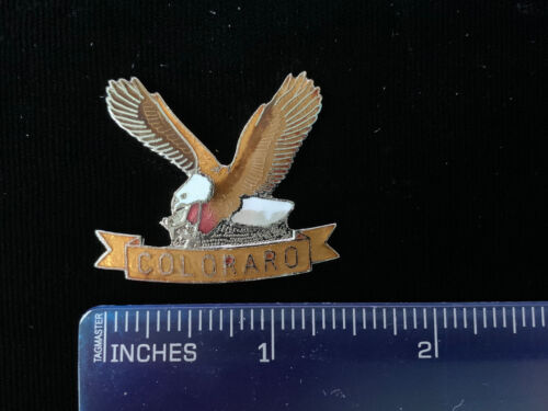 tac Large New! lapel 1980's Vintage Colorado Eagle hat pin 