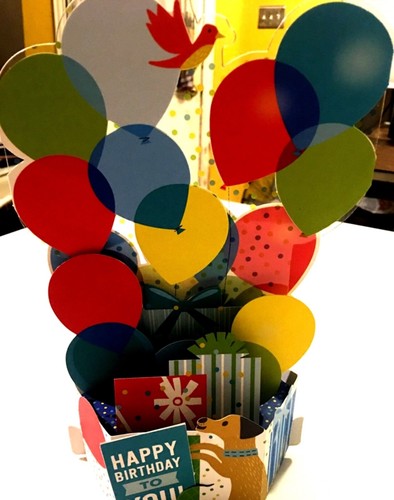 Birthday Cards Hallmark Wonderfolds Pop-Up Card With Envelope
