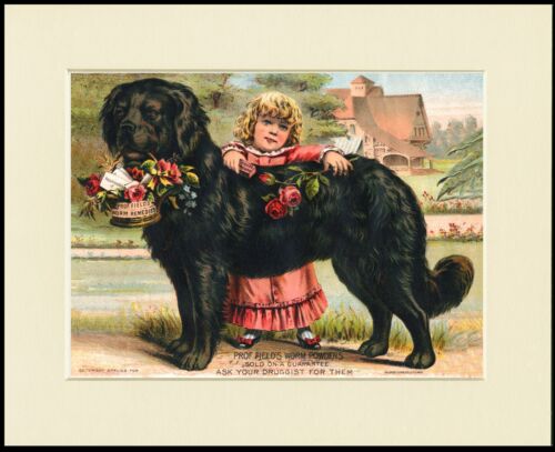 NEWFOUNDLAND DOG AND LITTLE GIRL CHARMING PRINT MOUNTED READY TO FRAME 
