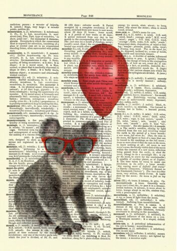 Koala Bear Red Balloon Glasses Dictionary Curious Art Print Poster Picture Book 