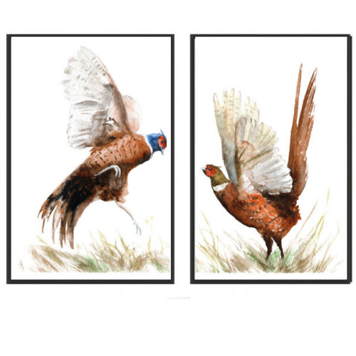 2 x A4 Set Set Pheasant Fight Watercolor Prints Wall Art Pictures Living Room 