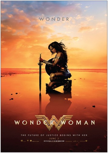 Wonder Woman Super Hero Classic Movie Poster Art Print A0 A1 A2 A3 A4 Maxi