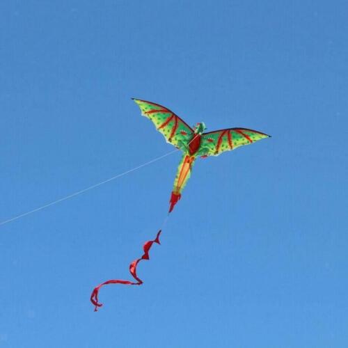 große 3D Einzelnen Linie Kite mit Lange Bunte Spannende Dinosaurier Drachen
